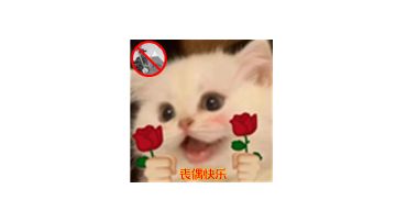 停服之前我们可以干什么的攻略(181920适用)