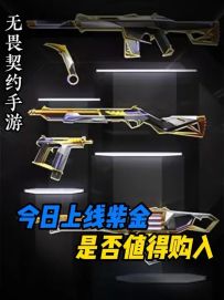 【紫金2.0套装】一分钟告诉你今日上线的紫金2.0套装是否值得购入