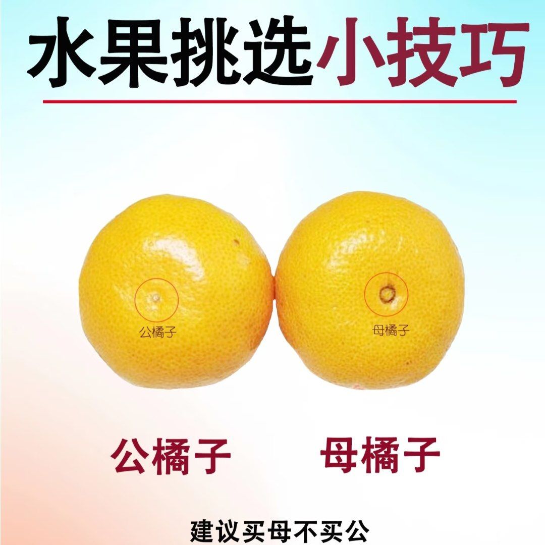 🌟青年大学习|水果挑选小技巧🌟 2