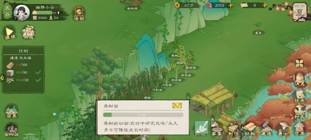 白木 1