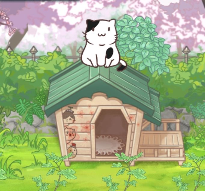 奶牛猫 1