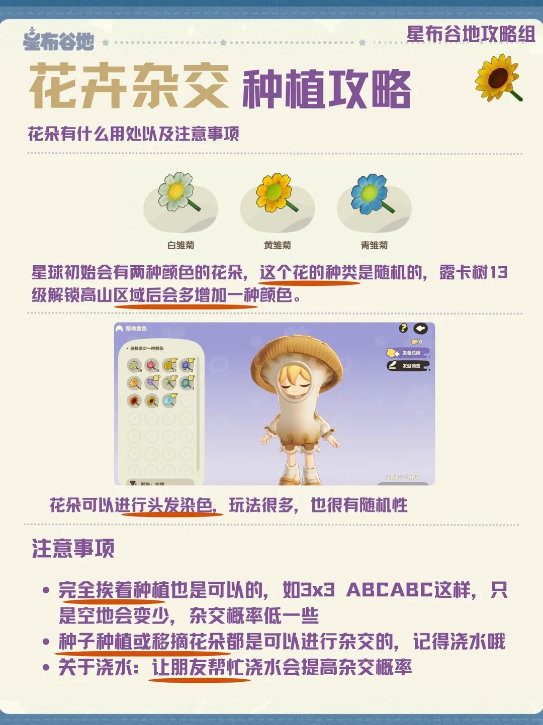 如何杂交？一步教会你种出稀有花卉！ 4