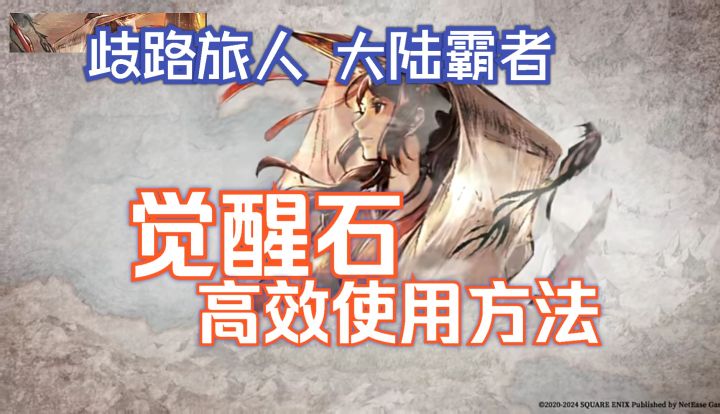 歧路旅人大陆的霸者 觉醒石高效使用方法截图