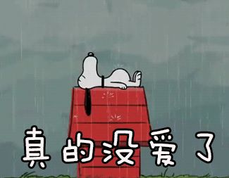 不更新了吗?截图