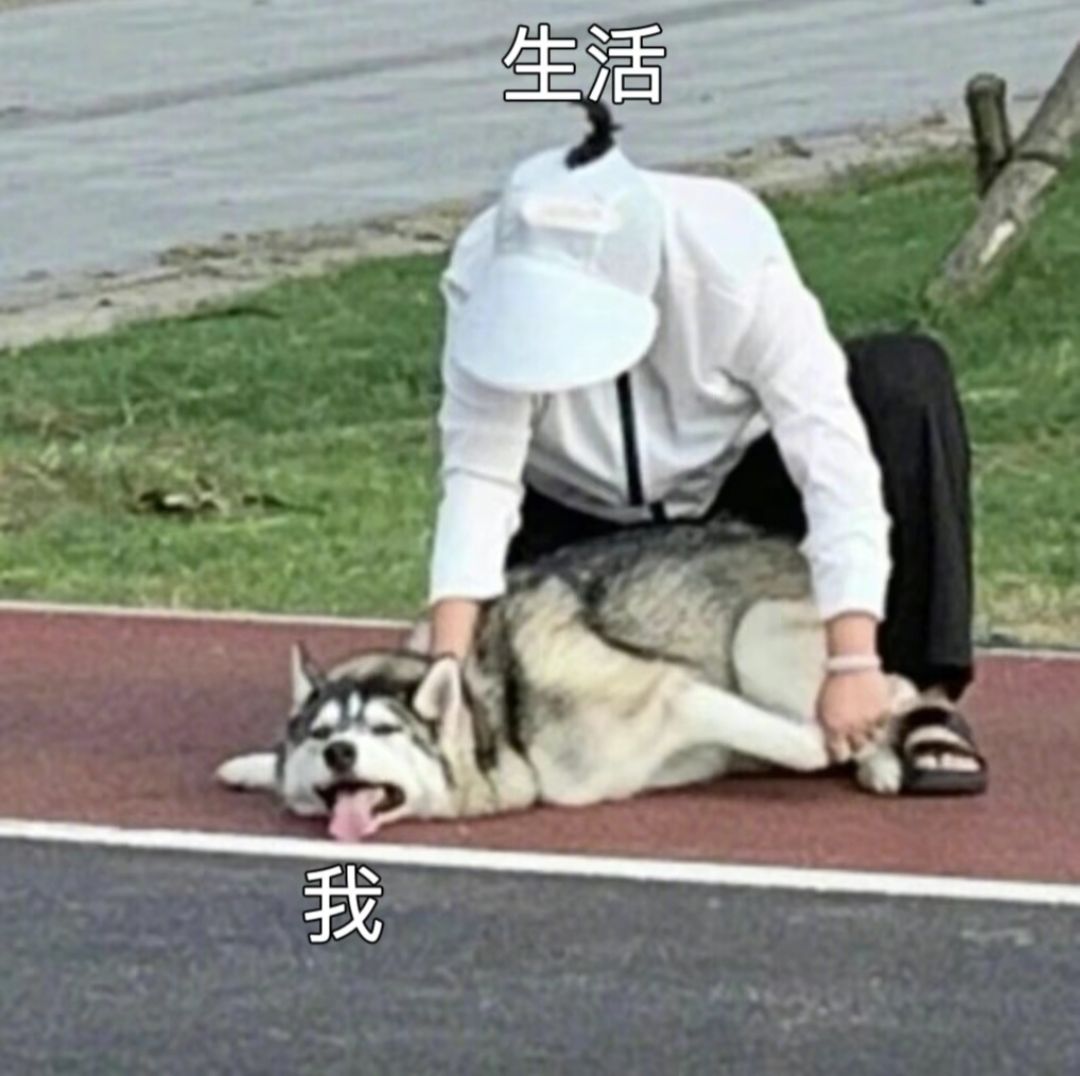 求大哥们推荐一下新 2