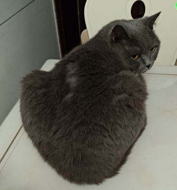 【七夕传情】爱要大声说出来！