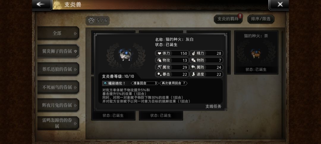 这猫哪只好点 2