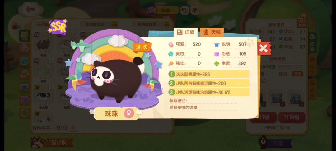求求评论区大神们告诉我,我的这些小猫崽值得养吗? 3