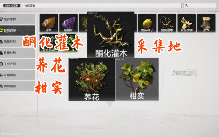 【明日方舟终末地】酮化灌木,荞花,柑实采集地截图