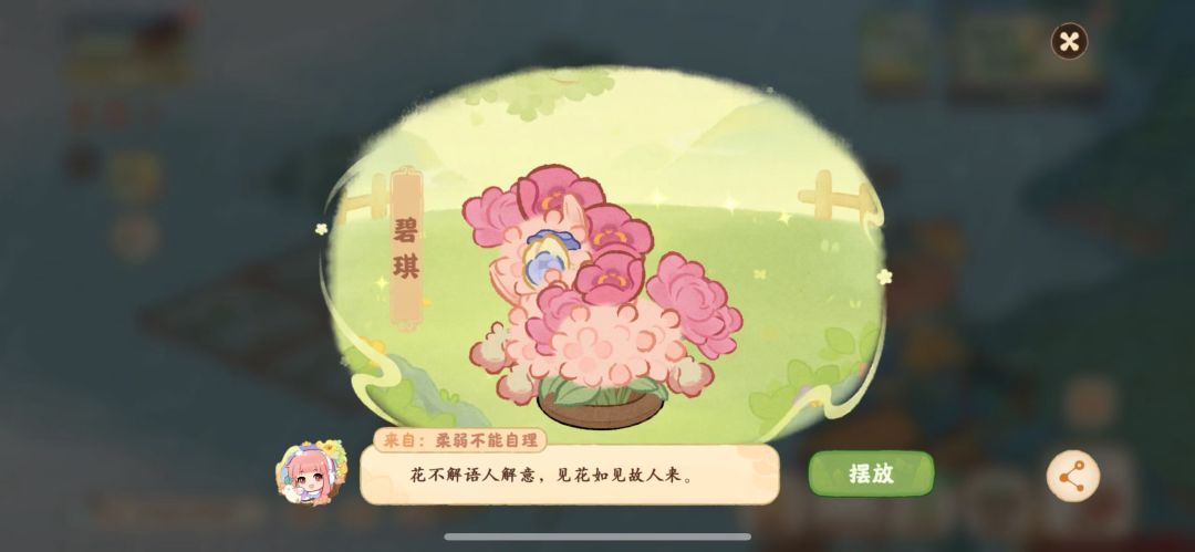 是碧琪呀 2