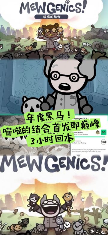 年度黑马！喵喵的结合首发即巅峰3小时回本