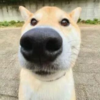 动态图片 12