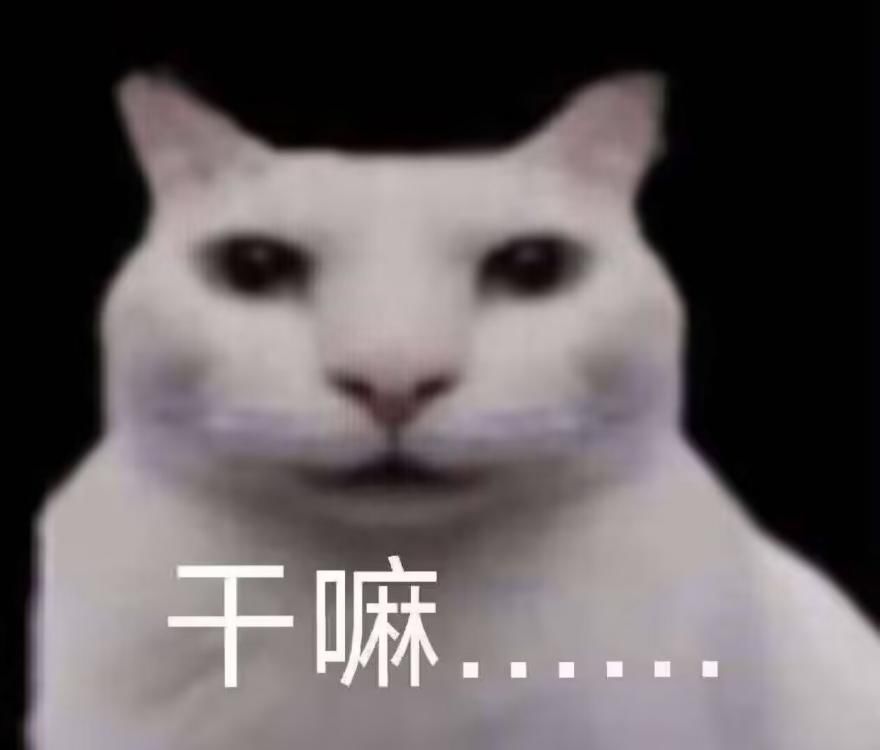 柳八拉,听说你很有名 2