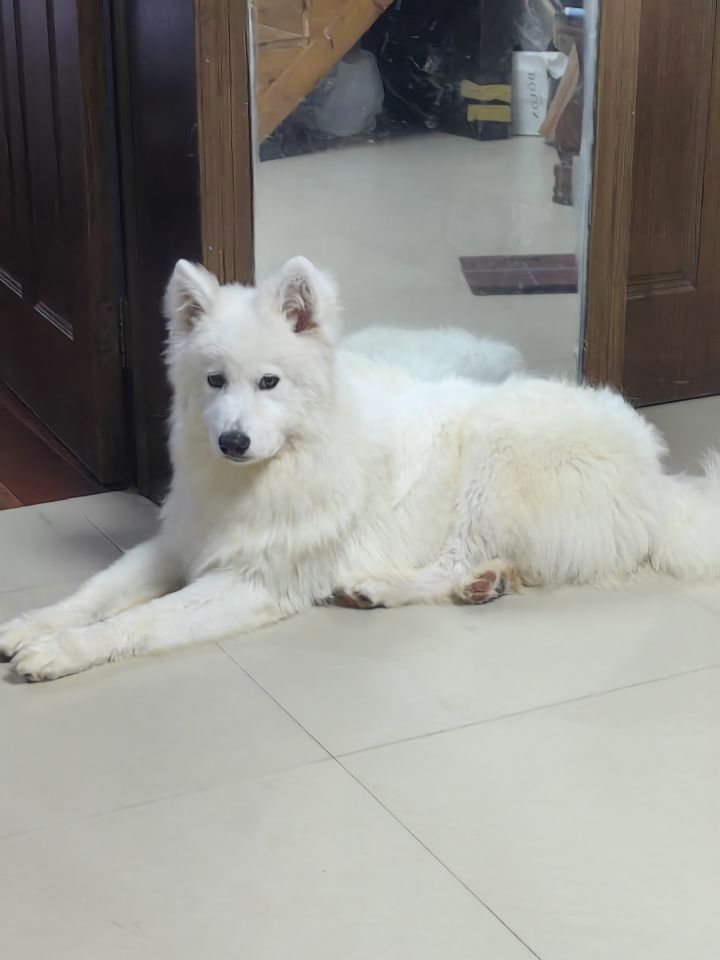 端午分享第三天截图
