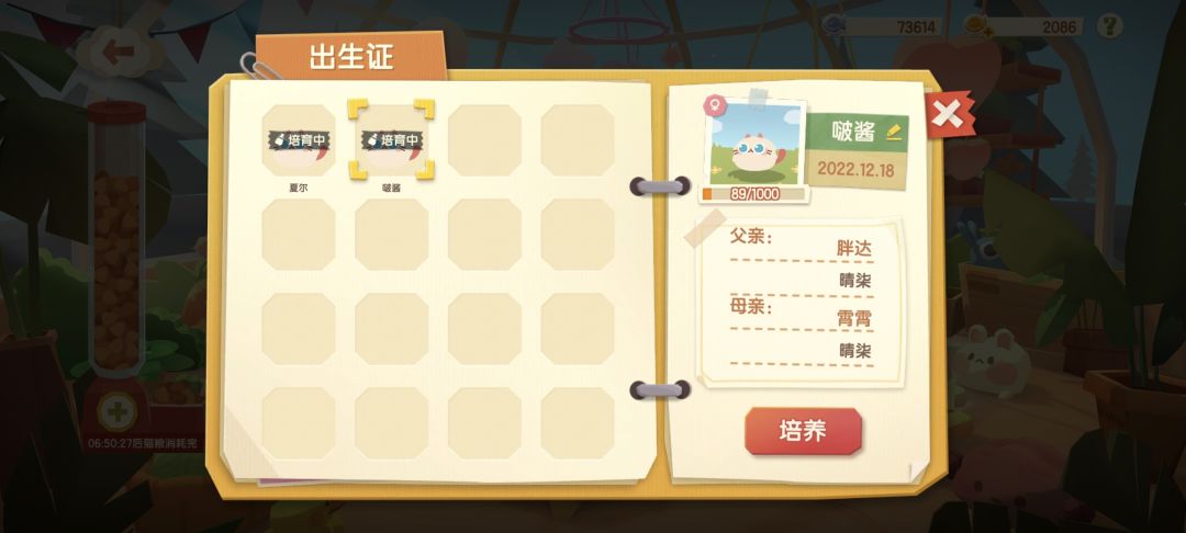 动态图片 4