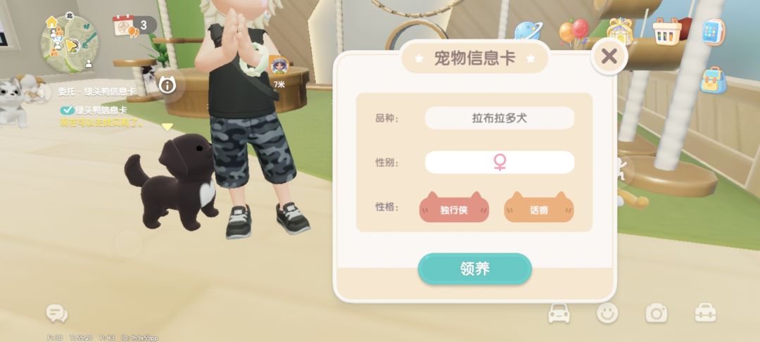 遇见的小狗 2