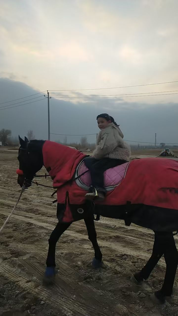 动态图片 10