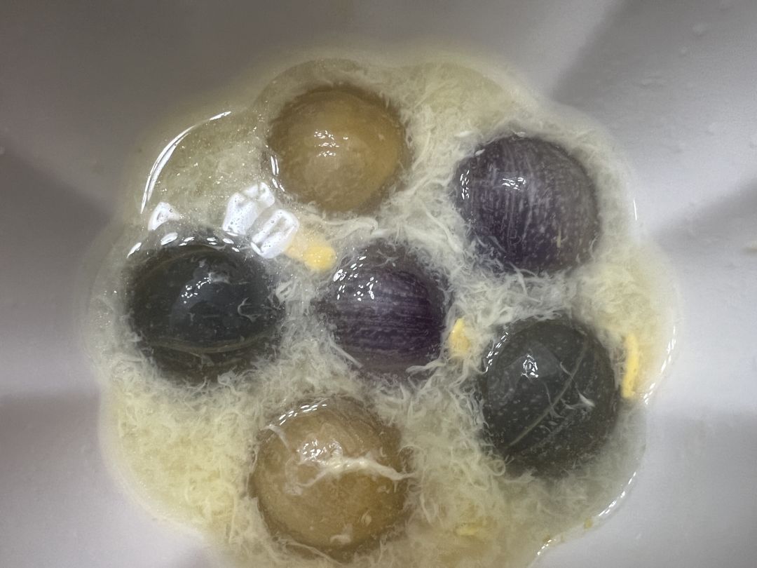动态图片 18