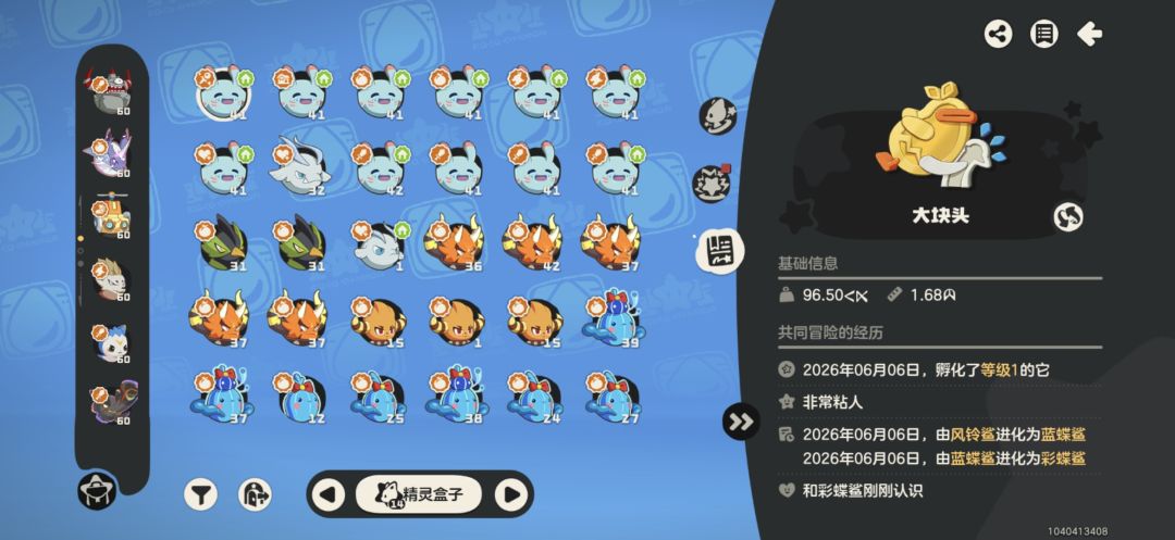 彩蝶鲨 1