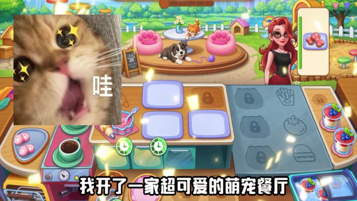 我开了一家能撸萌宠、还能吃猫爪蛋糕的餐厅!截图