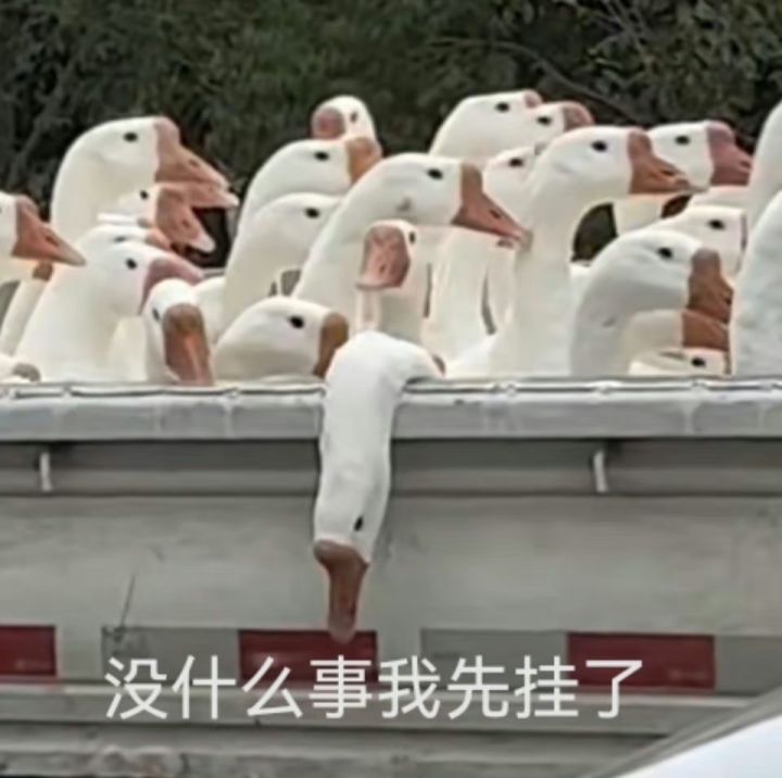 卡船截图