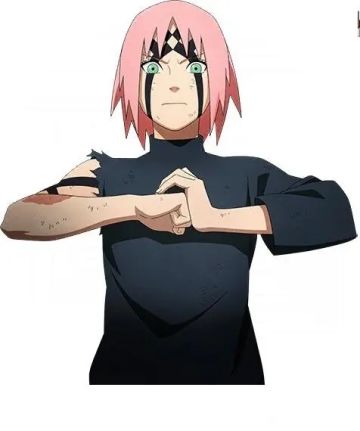 s忍春野樱立绘来了！