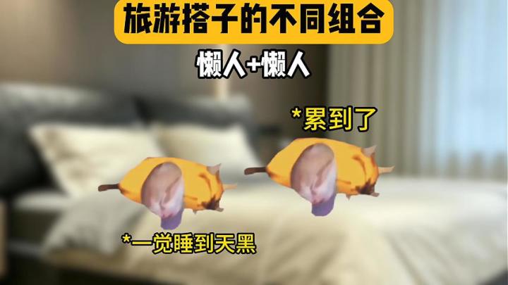 旅游搭子的不同组合截图