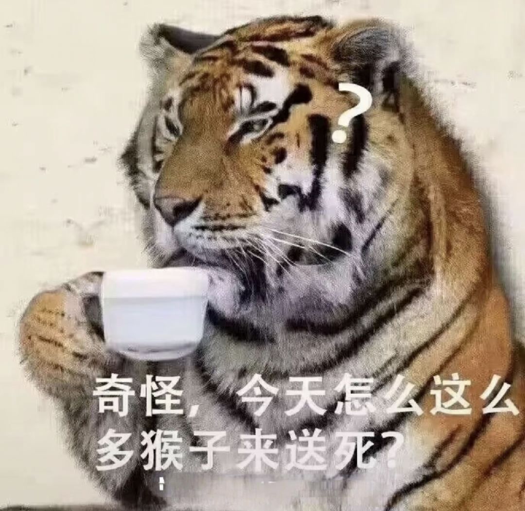 你打过虎先锋了嘛 2