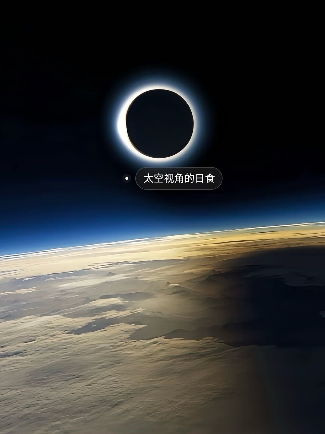 “上帝视角” 5