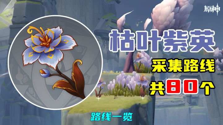 【原神】枯叶紫英采集路线(80个),路线一览截图