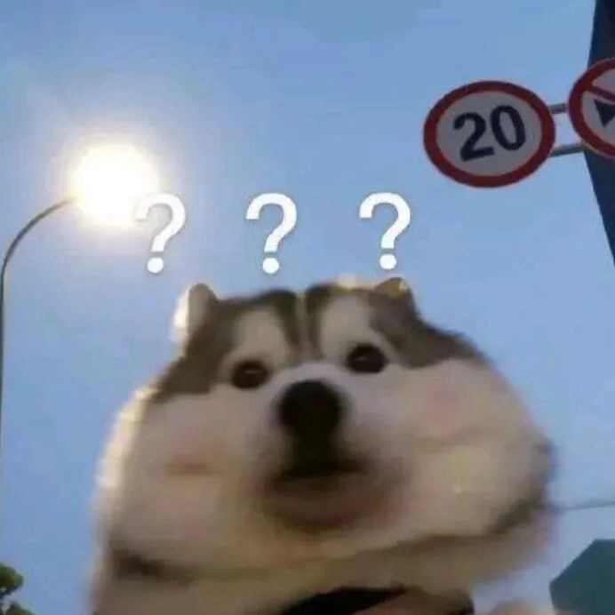 萌新提问截图