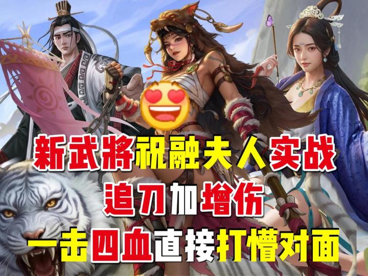 新武将祝融夫人实战,追刀加增伤,一击四血直接打懵对面截图