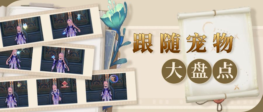 跟随宠物大盘点 你都收集了多少? 1