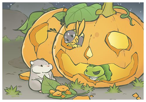 蛙蛙留念 18