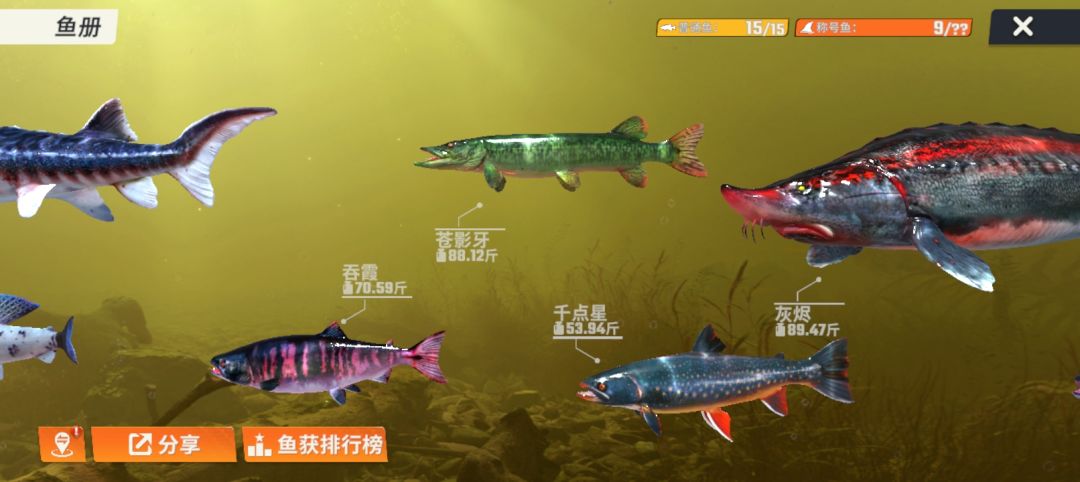 淡水鱼水箱的几条鱼截图