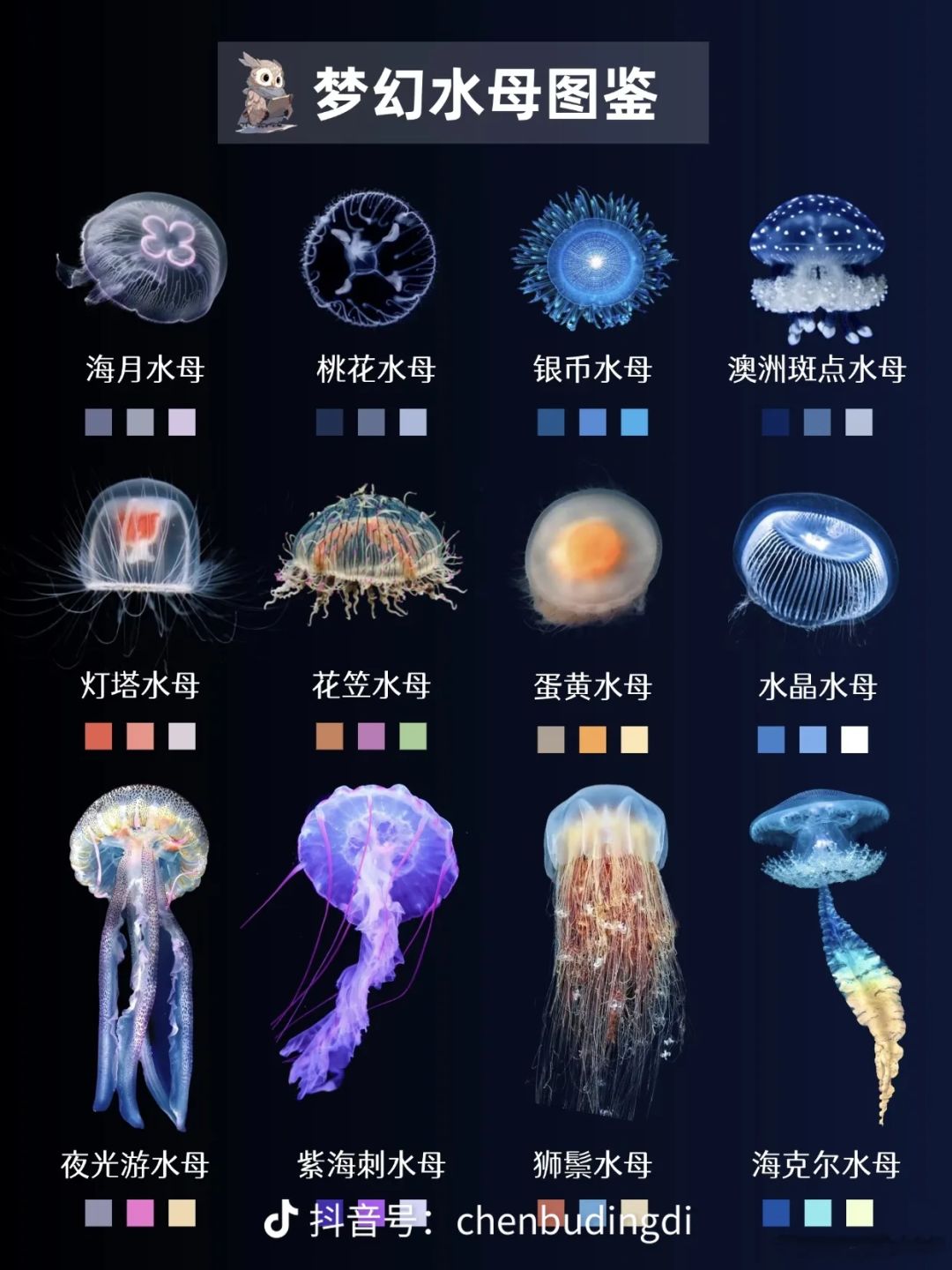 以闪许愿水母异体，快！ 2