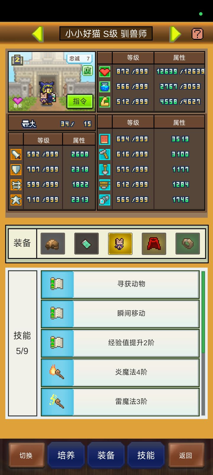 请问一下驯兽的装备和技能截图