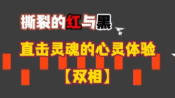 撕裂的心灵冲击，不同的游戏体验【双相】