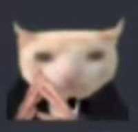 终于all in了 3