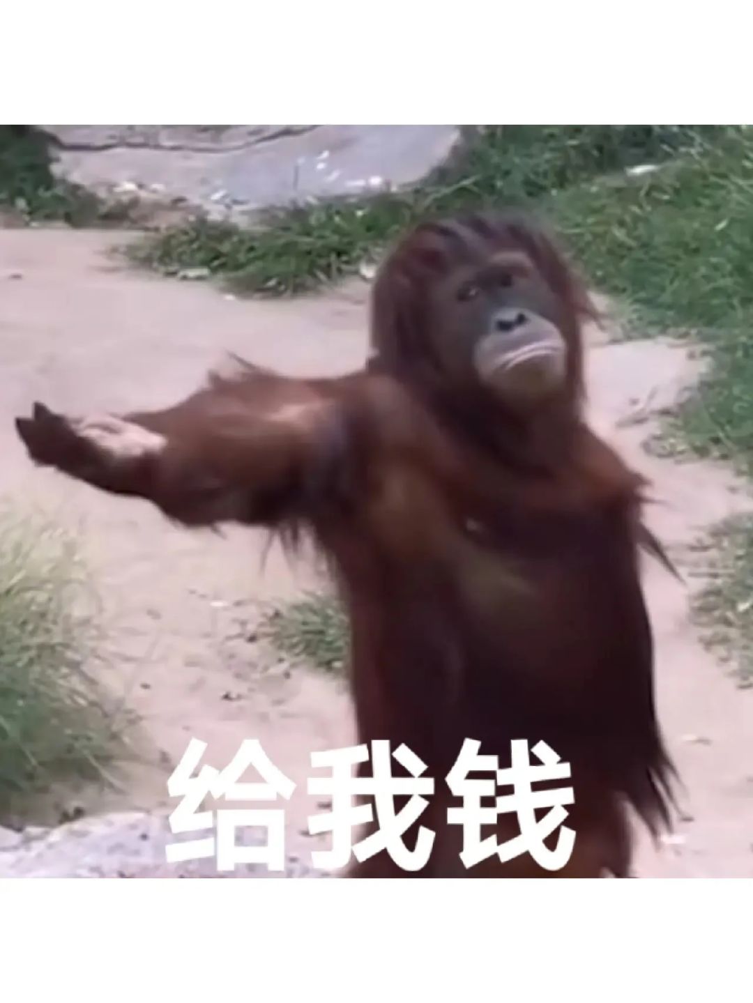 萌新小号过剧情记录一波! 6