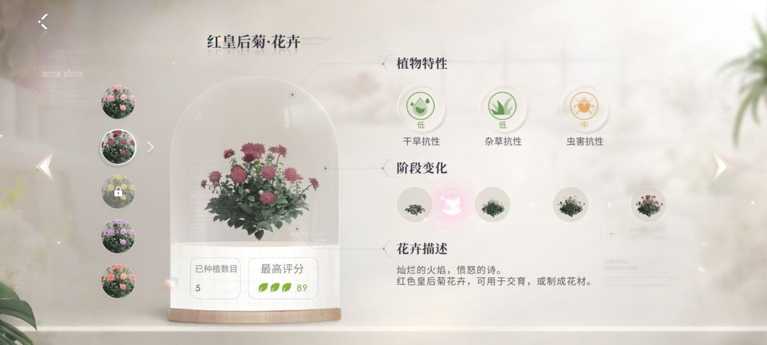 花园交育毕业💀 2