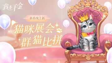 活动上新｜猫咪展会活动登场，谁能成为“名列前猫”呢？