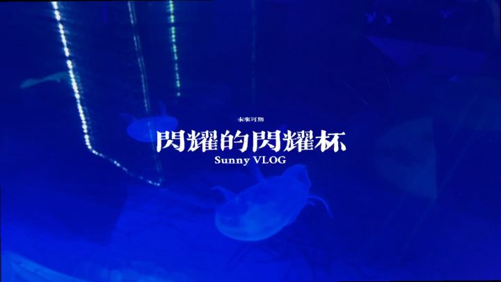 【馄饨老师】闪耀的闪耀杯米娜桑截图