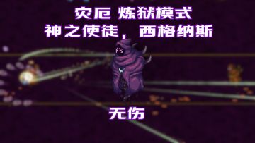 “鬼魅刺客”——灾厄 炼狱模式 神之使徒，西格纳斯 无伤