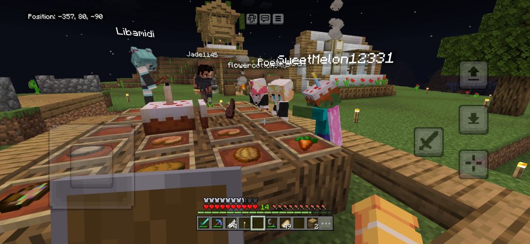 在Minecraft过生日! 3