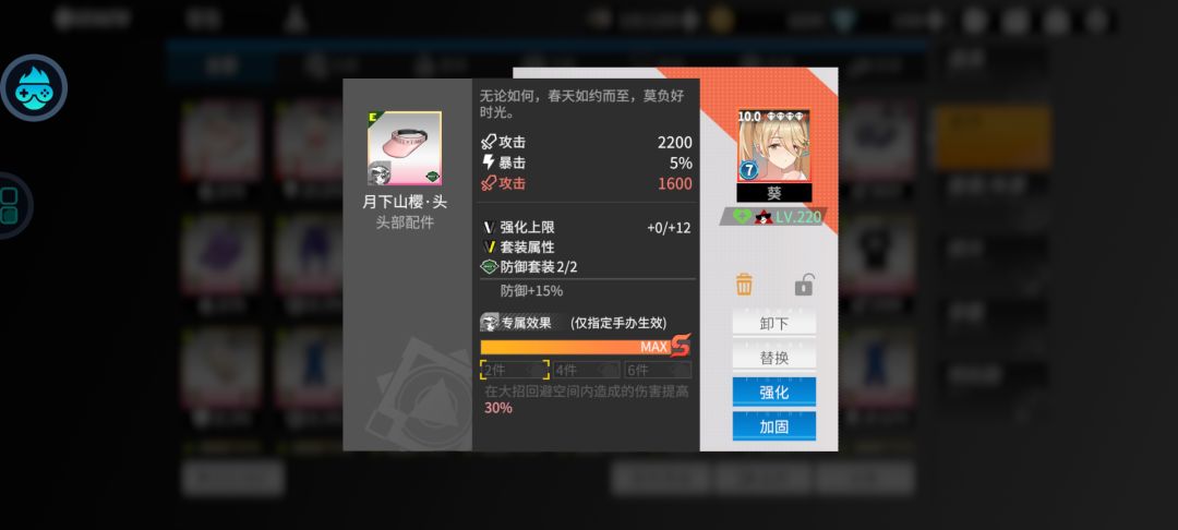 这是谁的专属装备啊 1