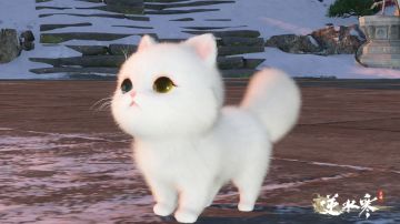 没开玩笑！在逆水寒里，七夕节没一个人会“落单”！
这个七夕，逆水寒将送出见证爱情的小猫白雪、支持刻字的挂件外观【伞·兰夜相思】、磨喝乐玩偶配饰、七夕专属称号。完成活动即可全部拿走！
之所以敢说没一个人会落单，是因为假如您跟信使一样没有情缘，也可以邀请师兄师姐等一系列侠缘NPC来一起做七夕活动，一样可以拿到上面说到的全部奖励！试想一个不逼肝不逼氪的游戏，怎么会逼人找情缘呢