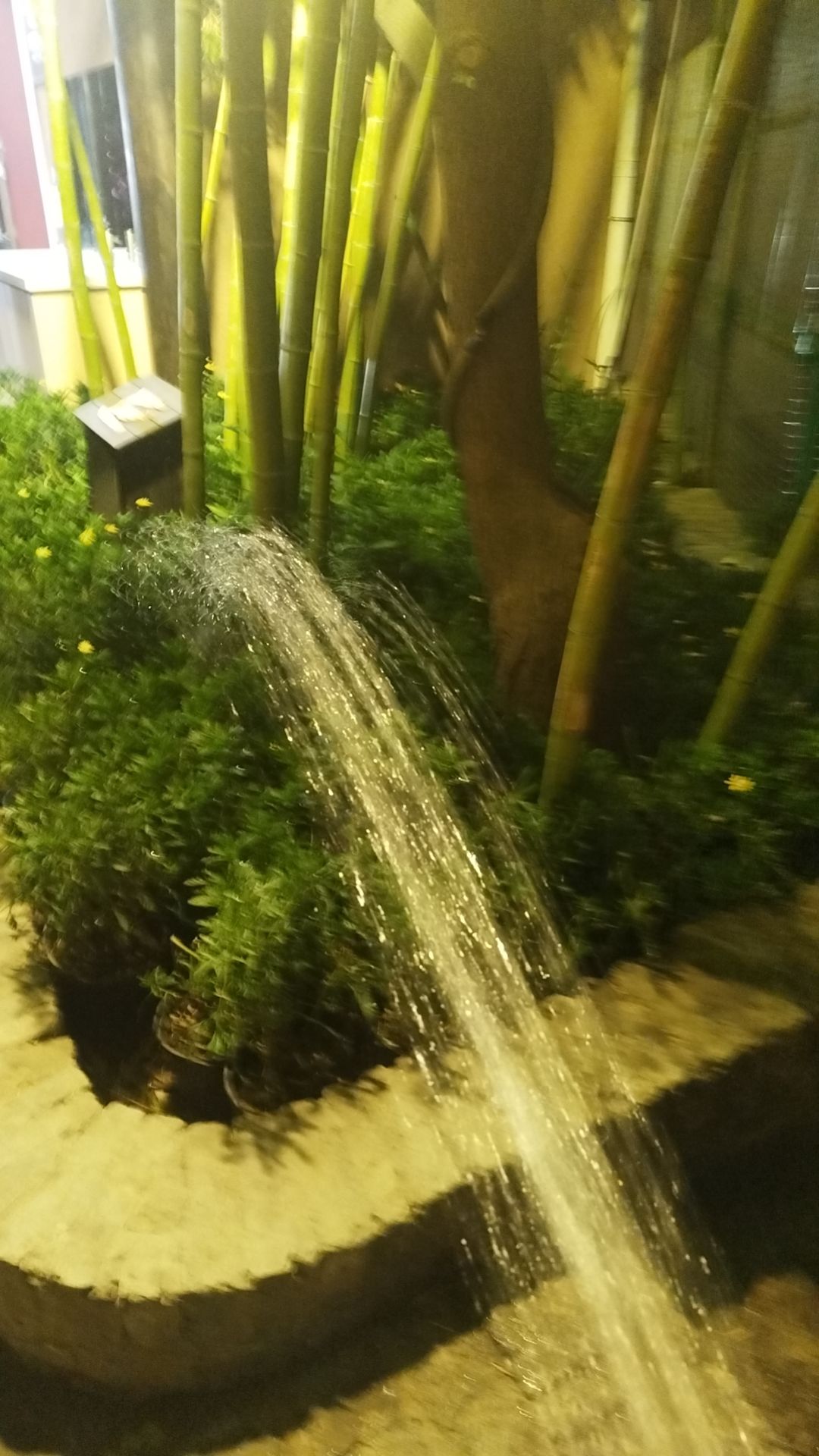 动态图片 6