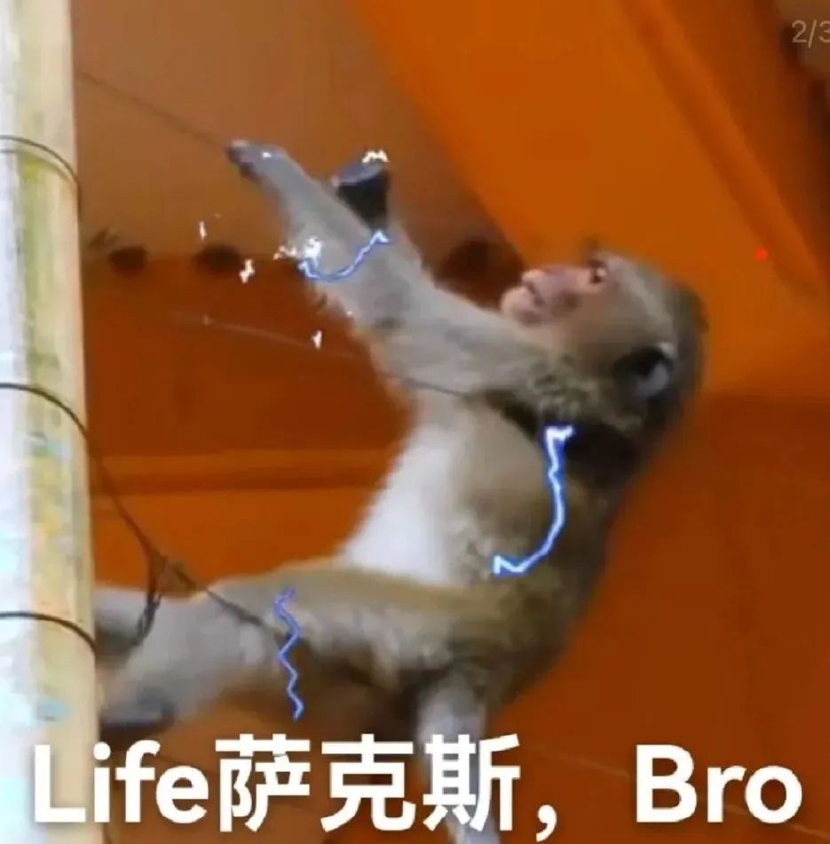 有没有大佬教教配队啊 2