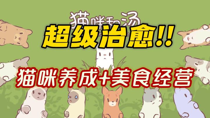 猫咪和汤国服来啦❗美食经营+猫咪养成,超级治愈的好不好♥截图